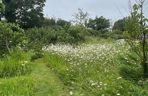 Redlynch Apartment | 2 Guests Studio - Free Parking - Stunning Views