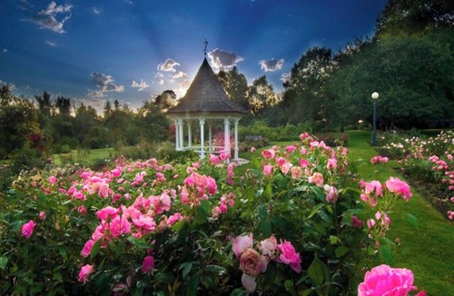 Central Area Hotel | 2 Inviting Studios - Your Ultimate Oregon Experience Near Dinings | Pets Allowed