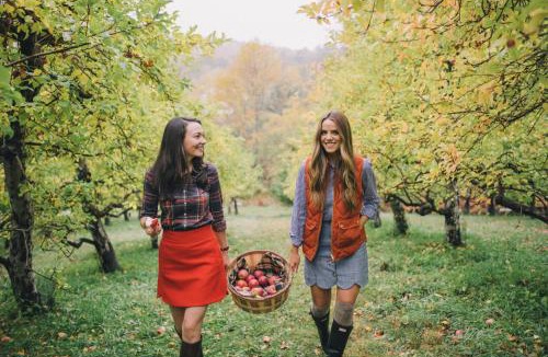 Highland Lake House | 2 Lake Cabins Poolhottub Game Room & Courts