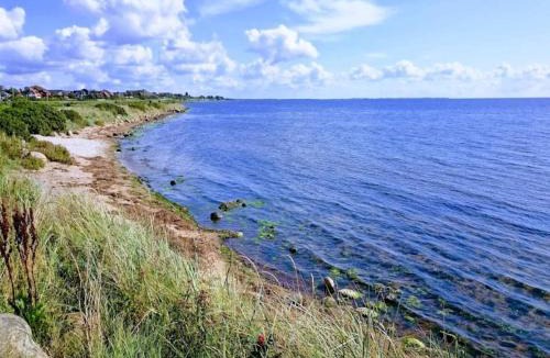 Ringkobing House | 2 person holiday home in Ringkøbing
