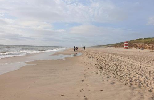 Sondervig House | 2 person holiday home in Ringkøbing
