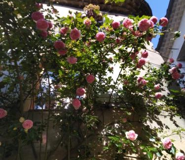 Aniane Villa | 2 Rue de la Tour