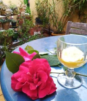 Aniane Villa | 2 Rue de la Tour