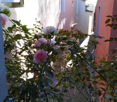 Aniane Villa | 2 Rue de la Tour