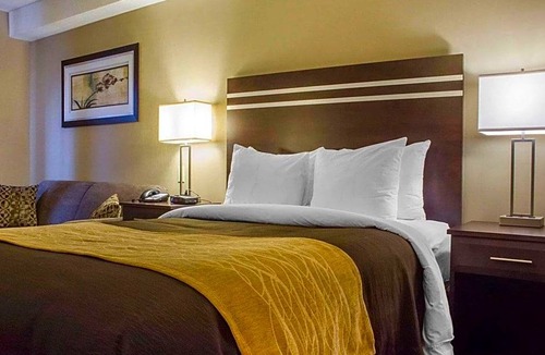 Guelph Hotel | 2-Star Hotel ∙ Comfort Inn