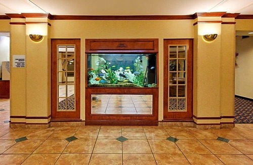 Crockett Hotel | 2-Star Hotel ∙ Holiday Inn Express Crockett