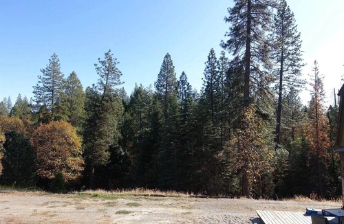 Georgetown Cottage | 2 story tiny house ready for your retreat in the woods. 4x4 and horses welcome!