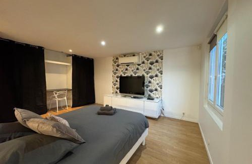 Les Poulettes Apartment | 2 Twenty Fort Studio with pool Lyon