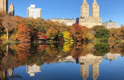 Snyder Square House | 2 x Graduate Queen Queen - Accessible Room at Graduate Roosevelt Island