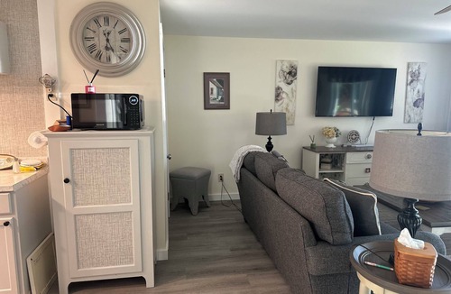 Richfield Springs Apartment | 20 min. To Cooperstown NY. nlake front rental one bedroom.extra sleeping space.