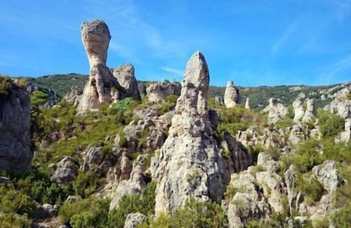 Bedarieux House | 20 Mobilhome Sous les Pins Calme Verdure Clim 4 Couchages