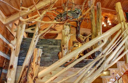 Sevierville Ski Chalet | #2168 A View for Two