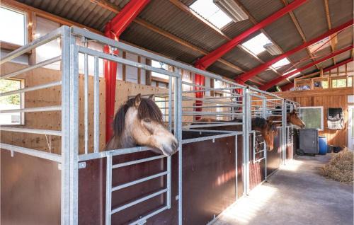 Henne House | 22-Bedroom Holiday Home In Henne