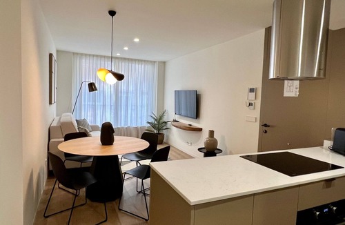 Ensanche Diputacion Apartment | 22 Reyes Catolicos Premium Homes - Deluxe Home