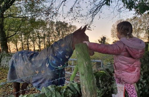 Fenny Bentley Resort | 22 Washbrook Way