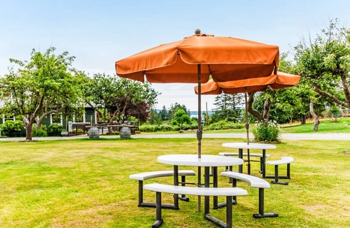 Deer Harbor Cabin | 23 m² Private room ∙ 2 guests