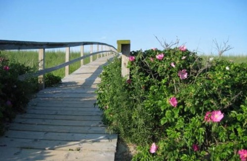 Sagamore Beach Cottage | 244 Phillips Rd