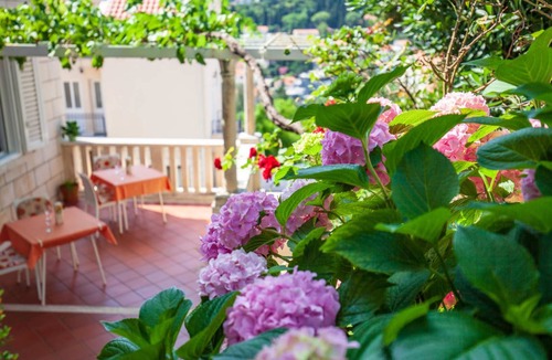 Babin Kuk Apartment | 25 m² Studio flat ∙ 2 guests