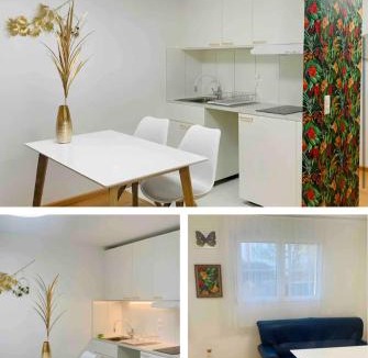 Affoltern Apartment | 25m2 Studio with Kitchen in Zürich