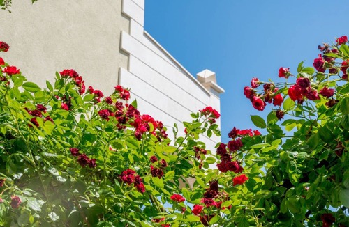 Businci Apartment | 27 m² Apartment ∙ 1 bedroom ∙ 3 guests