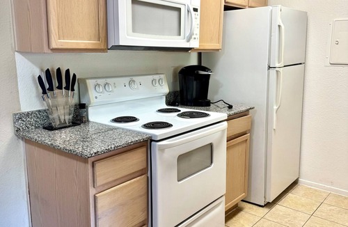 Texas Medical Center Apartment | 2BDR, KgBd, Poo NRG Med DT Zoo UH