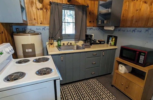 Park Rapids Cabin | 2BR 1BA Cabin #8 at Riverside Point Resort