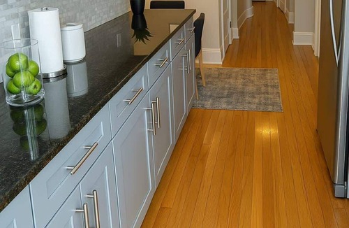 Wrigleyville Apartment | 2BR Apartment Beautifully Furnished