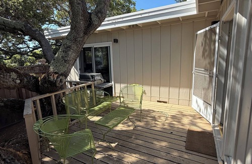 Belmont Cottage | 2BR Belmont Treehouse near SFO, Caltrain & Levi's