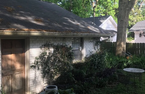 Downtown House | 2BR house near downtown and UL. Charming Street!