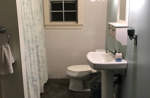 Downtown House | 2BR house near downtown and UL. Charming Street!