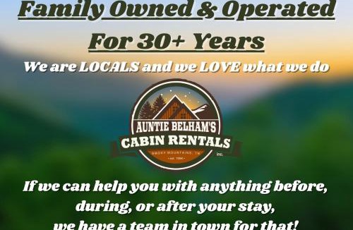 Pigeon Forge Ski Chalet | 2BR, slps 10, 8 min to Dollywood, hot tub!