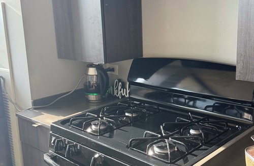 Near South Side Apartment | 2BR South Loop Apt—Walk to Lake, Museums, Aquarium + Pool, Gym, WiFi, & Conv Ct