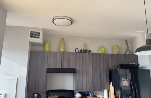 Near South Side Apartment | 2BR South Loop Apt—Walk to Lake, Museums, Aquarium + Pool, Gym, WiFi, & Conv Ct