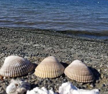 Birch Bay Apartment | 2nd Floor Studio #4 with Ocean View and Covered Deck