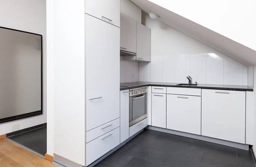 Wallisellen Apartment | 3.5-Room Sunrise Terrace Haven (FR-32)
