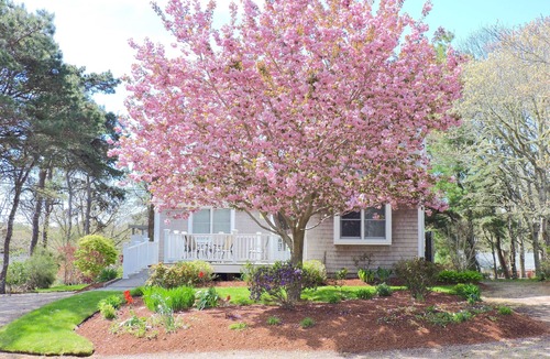 South Chatham House | 3 bed 3 bath. Premium linens provided. Pet friendly