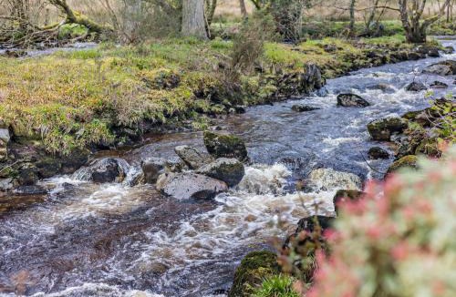 Llanuwchllyn House | 3 Bed in Bala 94600