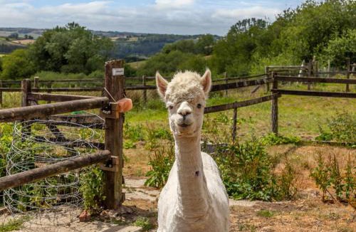 Umberleigh House | 3 Bed in Kings Nympton 78305