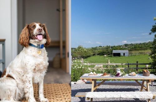 Denbigh House | 3 Bed in Saron 93994