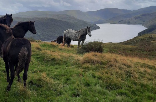 Penrith Cottage | 3 bedroom accommodation in Bampton near Penrith