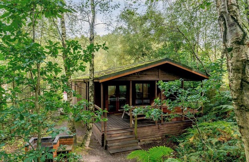 Freehay Ski Chalet | 3 bedroom accommodation in Freehay, Cheadle