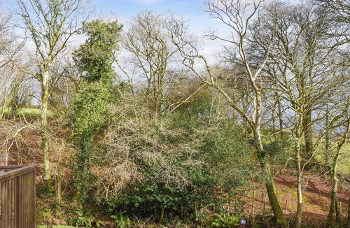 Luckett Cottage | 3 bedroom accommodation in Callington