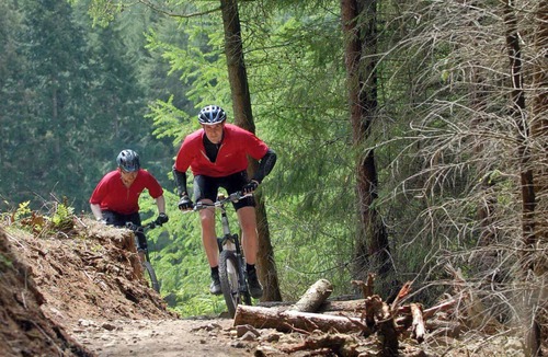 Pickering Cottage | 3 bedroom accommodation in Pickering