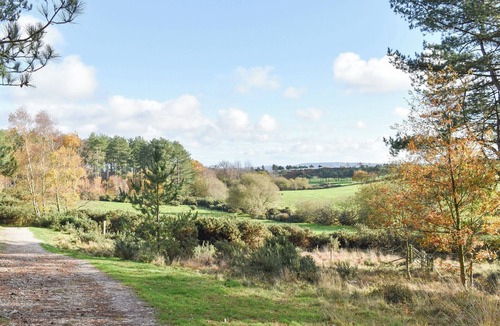 Wareham Cottage | 3 bedroom accommodation in Wareham