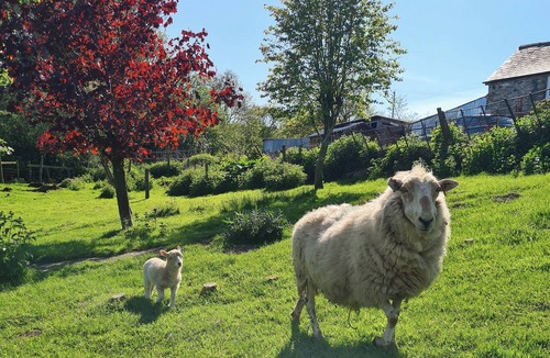 Corwen Cottage | 3 bedroom accommodation in Bala