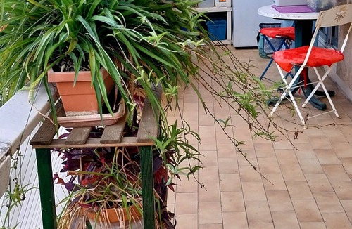 Estanove Apartment | 3 Bedroom Apartment in Montpellier