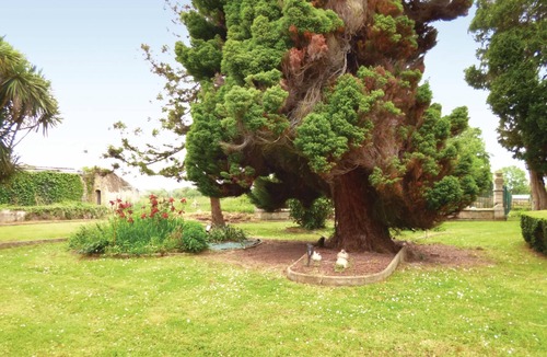 Valognes House | 3 bedroom beautiful home in Valognes