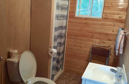 Sioux Narrows Nestor Falls Cabin | 3 bedroom cabin on Crow Lake at Bull Moose Lodge. Pet friendly