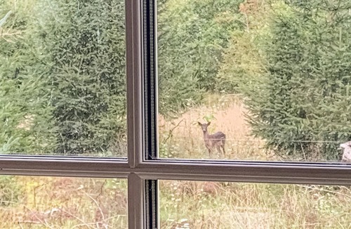 Vemb House | 3 bedroom cozy home in Vemb