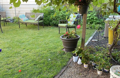 West Town Apartment | 3 bedroom- Great Location-Close to Transportation & Downtown
